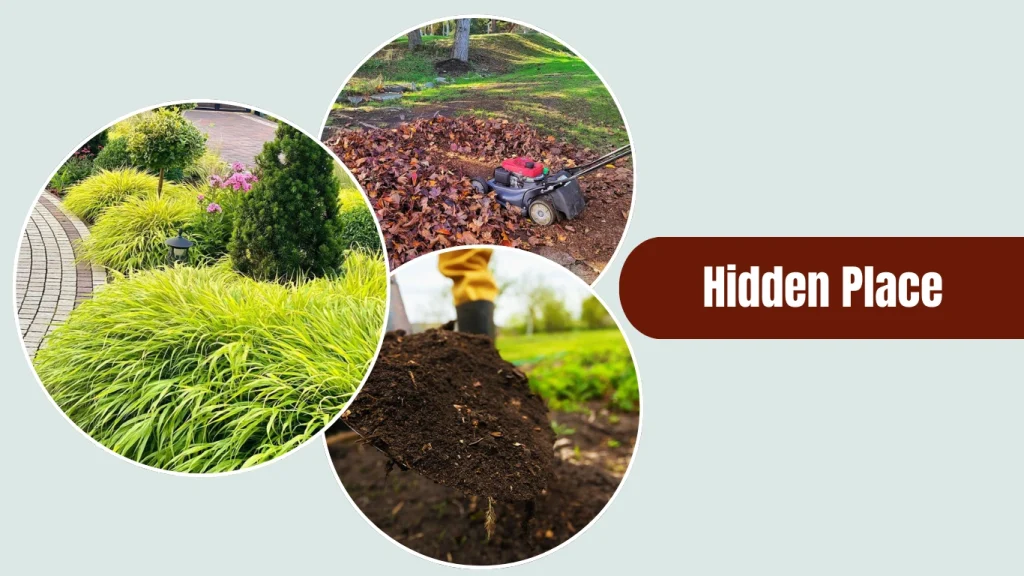 Asian cockroaches usually nest in moist