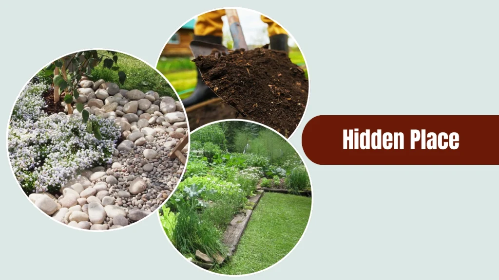 Harlequin cockroaches usually nest in moist, concealed areas, such as