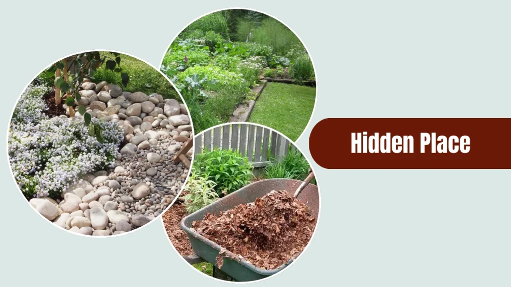 Lesser cockroaches nest in outdoor ground litter and vegetation