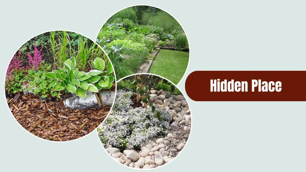 Tawny cockroaches typically nest in outdoor ground litter