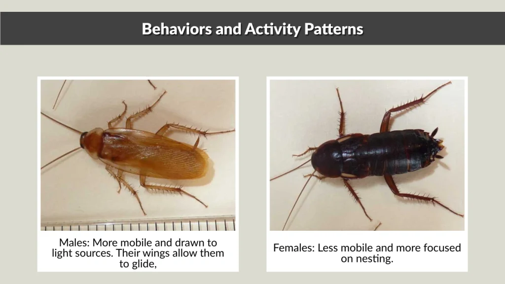Behaviors and Activity Patterns
