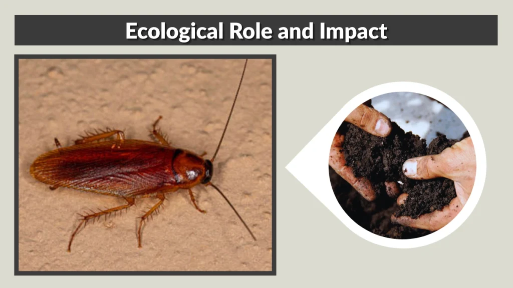 Ecological Role and Impact