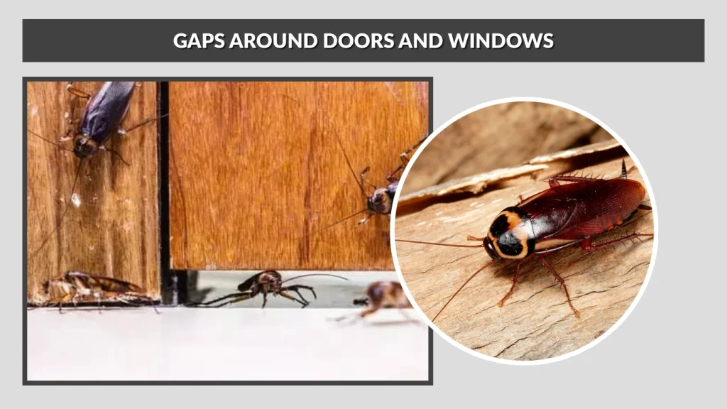 Gaps Around Doors and Windows