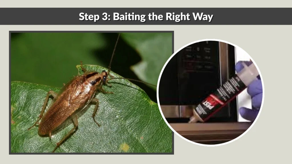 Step 3 Baiting the Right Way