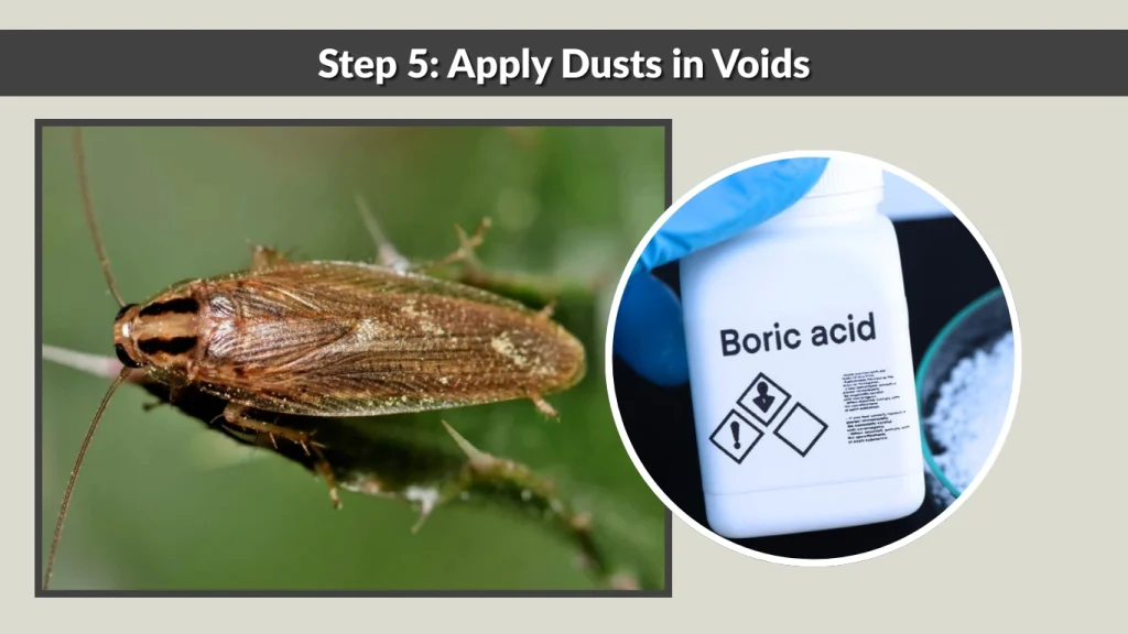 Step 5 Apply Dusts in Voids