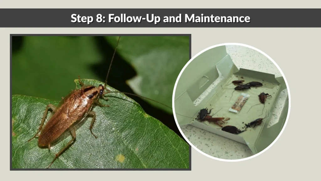 Step 8 Follow-Up and Maintenance