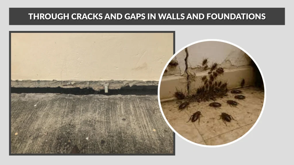 Through Cracks and Gaps in Walls and Foundations