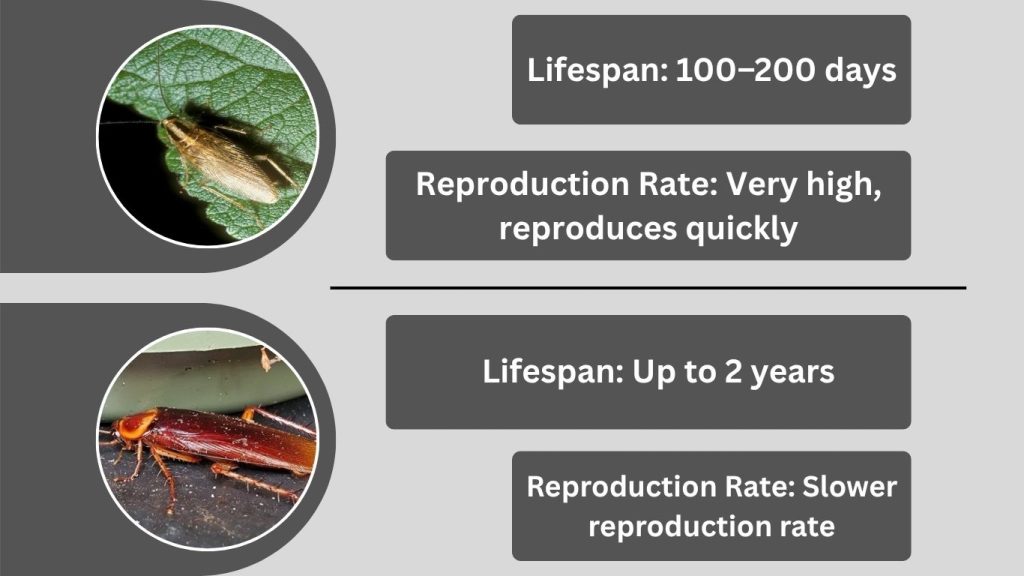 7 Key Differences Between  Them