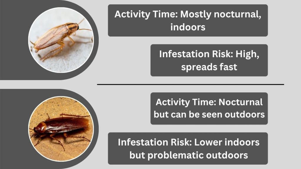 7 Key Differences Between  Them