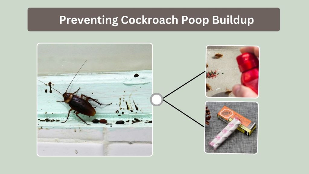 Preventing Cockroach Poop Buildup