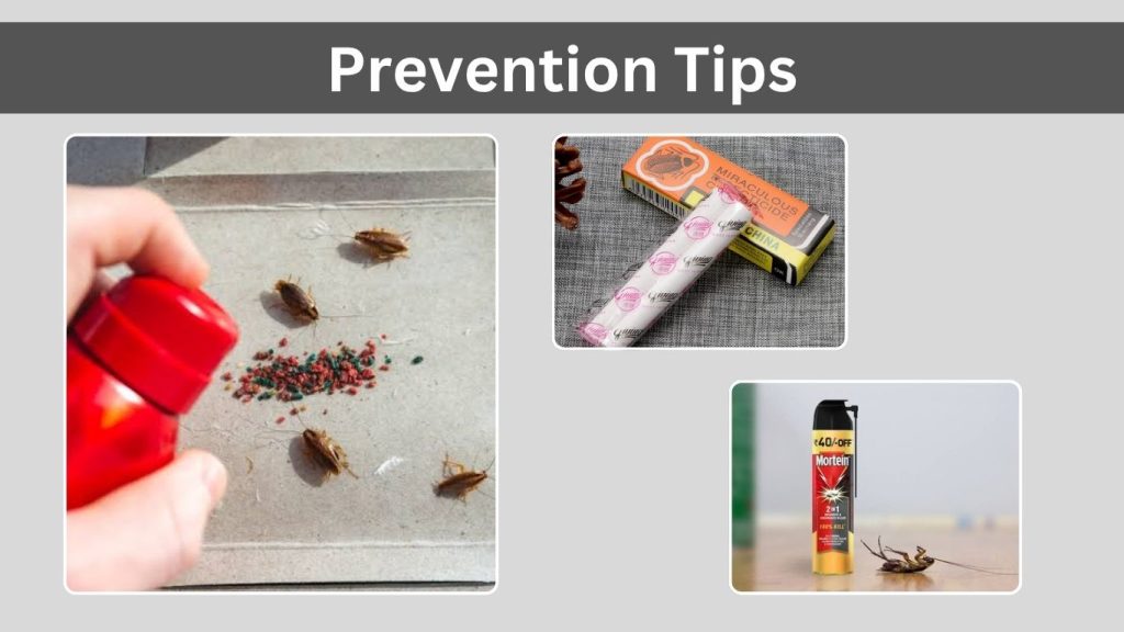 Prevention Tips