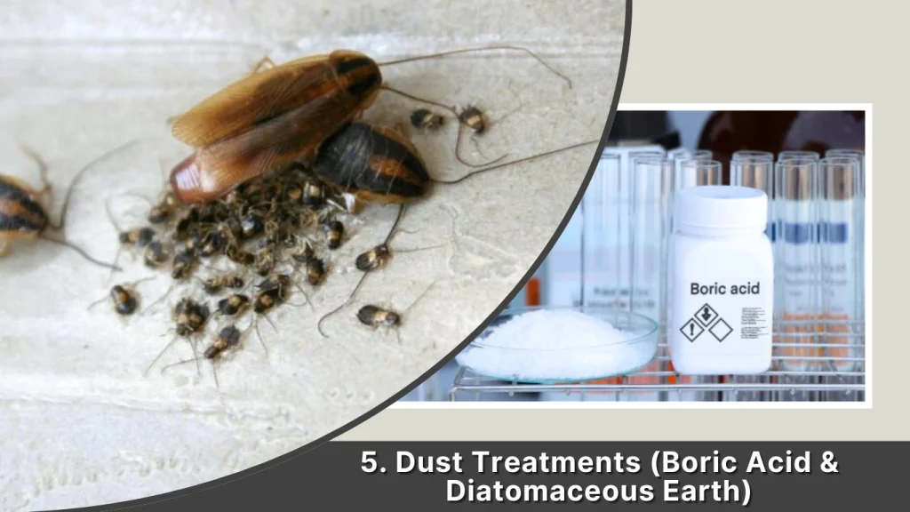 Dust Treatments (Boric Acid & Diatomaceous Earth)