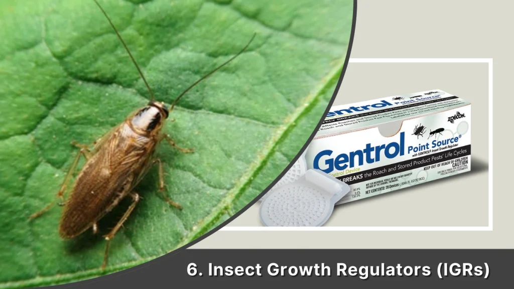 Insect Growth Regulators (IGRs)