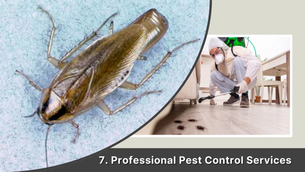 7. Professional Pest Control Services