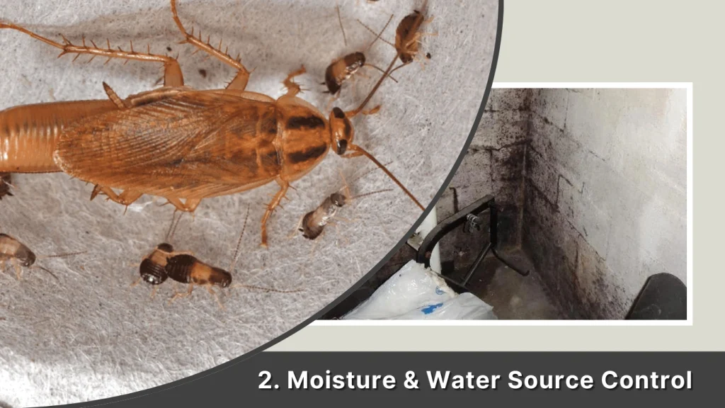 Moisture & Water Source Control