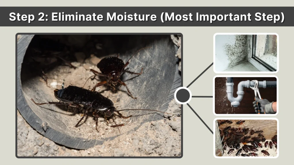 Step 2 Eliminate Moisture (Most Important Step)