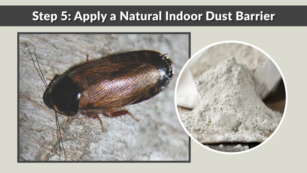 Step 5 Apply a Natural Indoor Dust Barrier