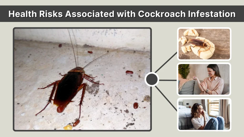 Health Risks Associated with Cockroach Infestation