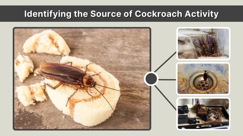 Identifying the Source of Cockroach Activity